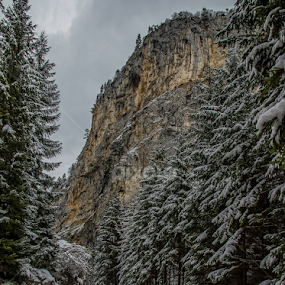 Winter's Tale by Mihail Marzyanov - Landscapes Mountains & Hills