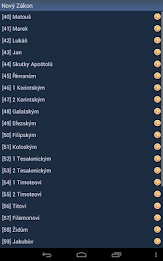 Czech Holy Bible poster 9