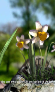 Nature Live❁ Spring Flowers XL(圖1)-速報App
