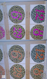 Color blindness correction
