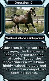 My Horse & Pony Breeds Quiz HD Screenshots 10