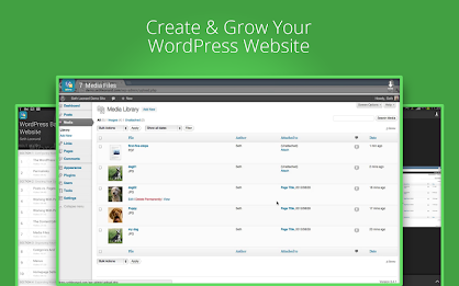 WordPress Basics poster 7