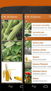 Exotic Fruits & Vegetables 2 L(圖4)-速報App