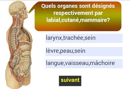 【免費醫療App】adjectifs d'anatomie-APP點子