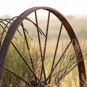 Hay Rake by Stacey Atkinson - Uncategorized All Uncategorized