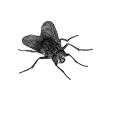 https://lh3.ggpht.com/oizzfq6Exh2Ny4HIEaC76jzJmUlZwwAqRgzBpYp5cG9HWgEEJtqZ_ysr6I0LDzYut1R9=w140