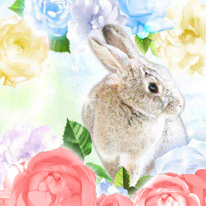 Kira Kira☆Jewel(No.97)Free 1.0.0