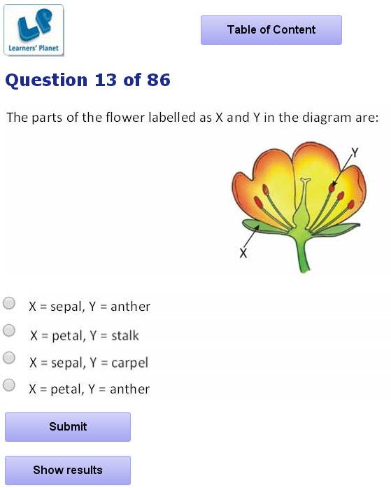 Worksheets Grade 7 Science Worksheets grade 7 science quiz 2 android apps on google play screenshot