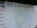 Horn Pond Trailhead