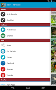 South American Birds Sounds Screenshots 15