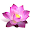 Opus Glow Download on Windows