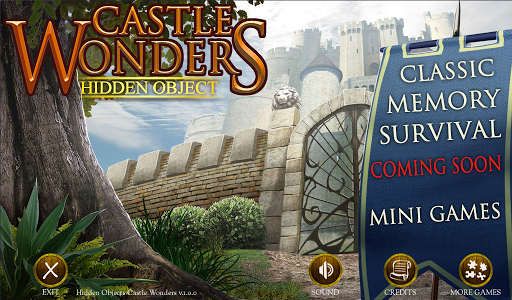 Castle Wonders