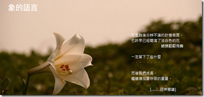 lostmemory