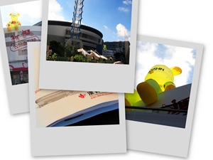 collage9