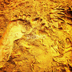 by Bihong Kollogov - People Professional People