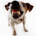 Mutts Dog Wallpapers logo