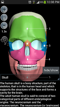 Anatomy Bones and Musclesのおすすめ画像2