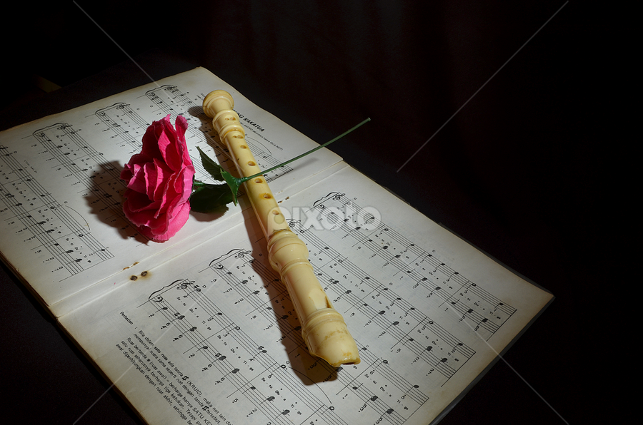 Suling by Gigih Ardiantoro - Artistic Objects Musical Instruments