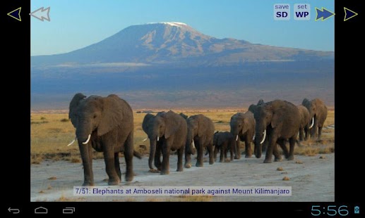 Download Elephant Gallery HD APK for Android
