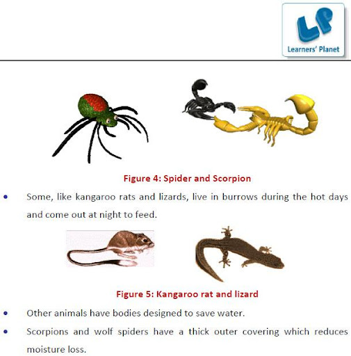 Grade-5-Science-Part-2