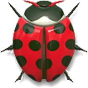 Bugs Race 1.48 Icon