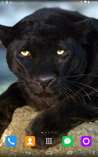 How to mod Black Panther Live Wallpaper 1.1.1 mod apk for android