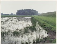 Uiterwaarden bij Tuil