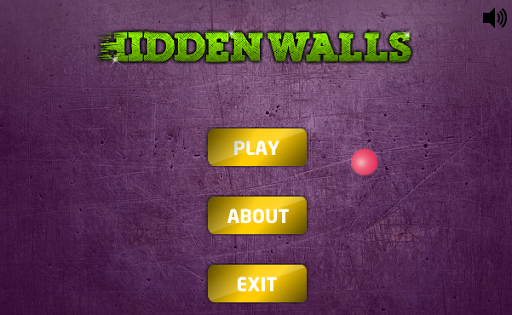 Hidden Walls