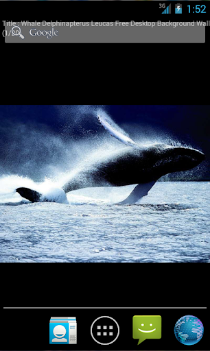 Whales Live Wallpaper Plus