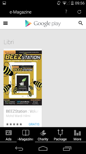 BeezStation