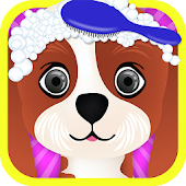 Lucu Merawat 4 Anjing