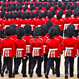 Trooping the colour by Mike Ross -  
