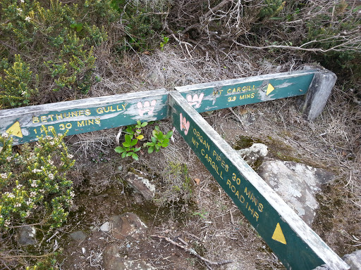 Mt Cargill Signpost