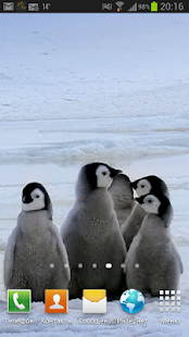 Arctic Penguins Live Wallpaper Screenshots 1