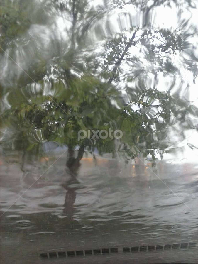 Tennessee Flood by Lora Long - Landscapes Weather