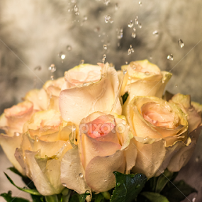 Let the Love Flow by RaeLynn Petrovich - Flowers Flower Arangements