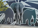 Elephant Wall