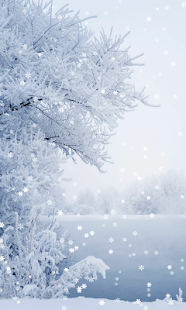 Winter Wallpaper(圖2)-速報App