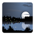 Fireflies Free Live Wallpaper1.1.4