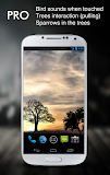 Sun Rise Pro Live Wallpaper