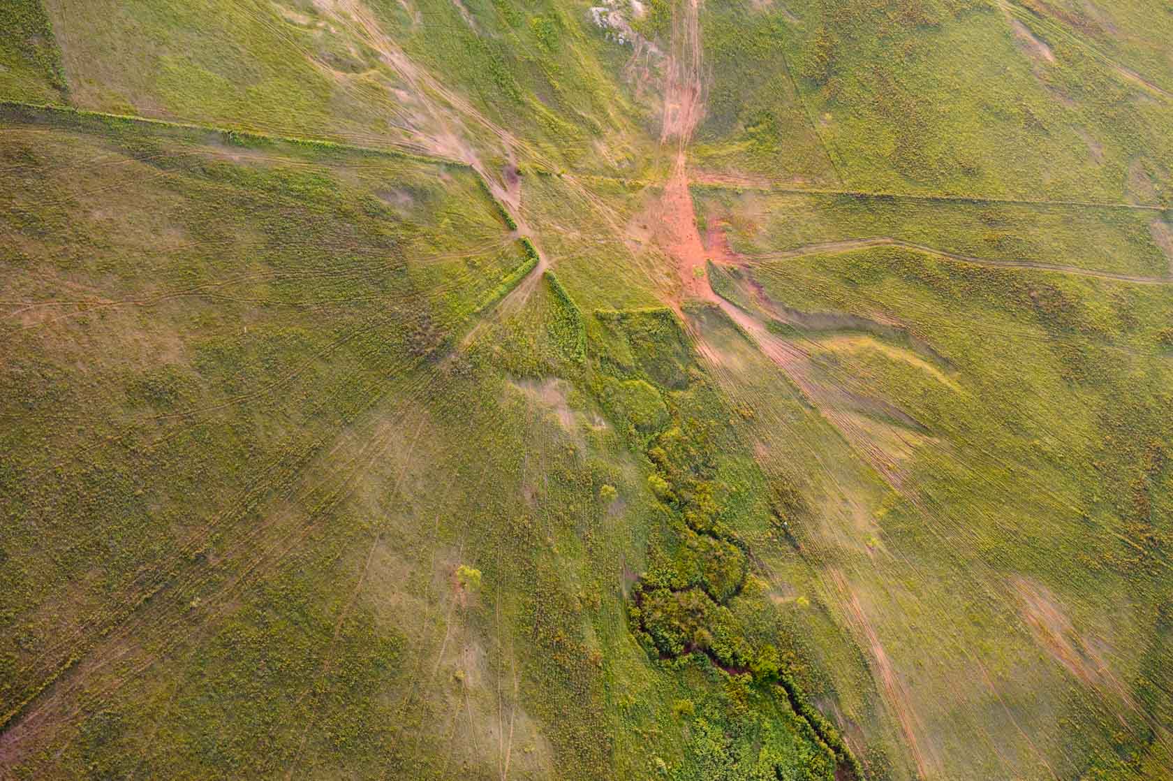 Grazing Traffic Patterns, Texas