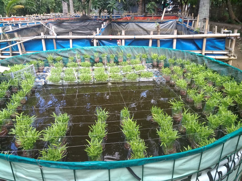 Bengkel Ko Iwan