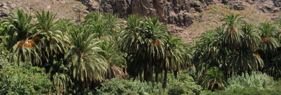 iUNAT - Instituto Universitario de Estudios Ambientales y Recursos Naturales