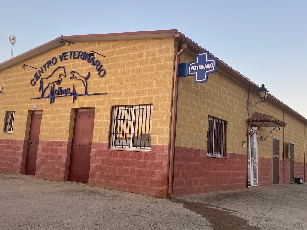 Centro Veterinario Mollina — Del propietario