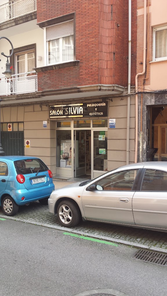 Salon Silvia Peluqueria y Estetica