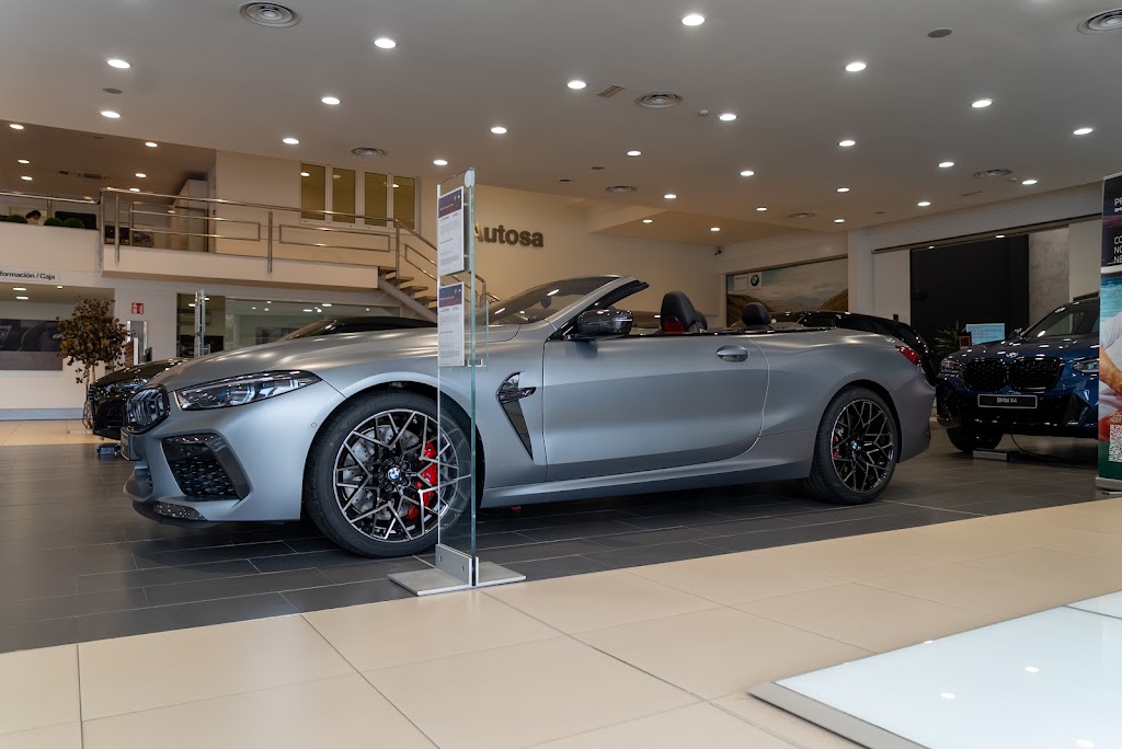 BMW Autosa — Interior