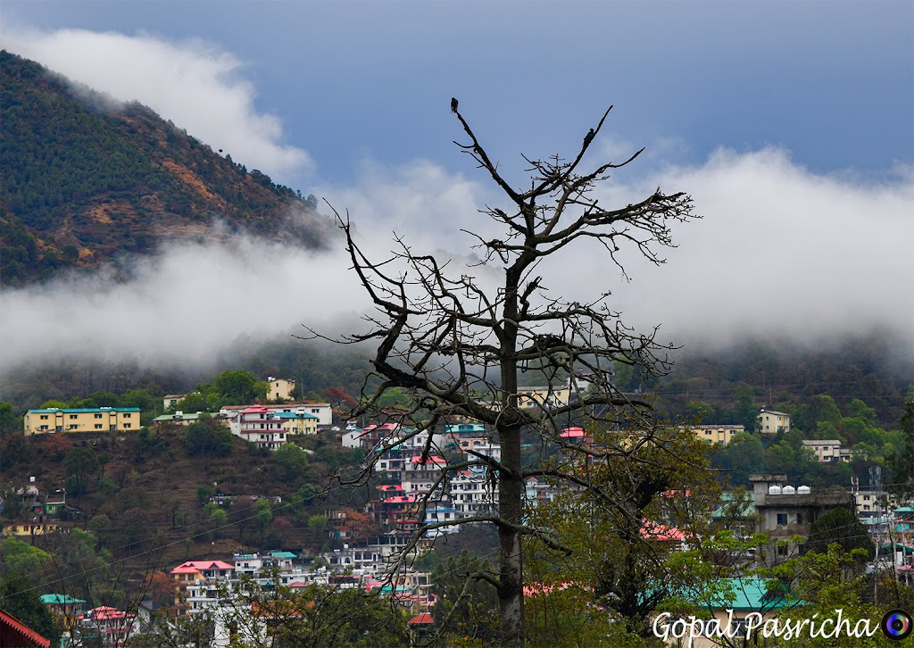 Cloud 9 Bed N Breakfast Cloud 9 Bnb Cloud 9 Solan