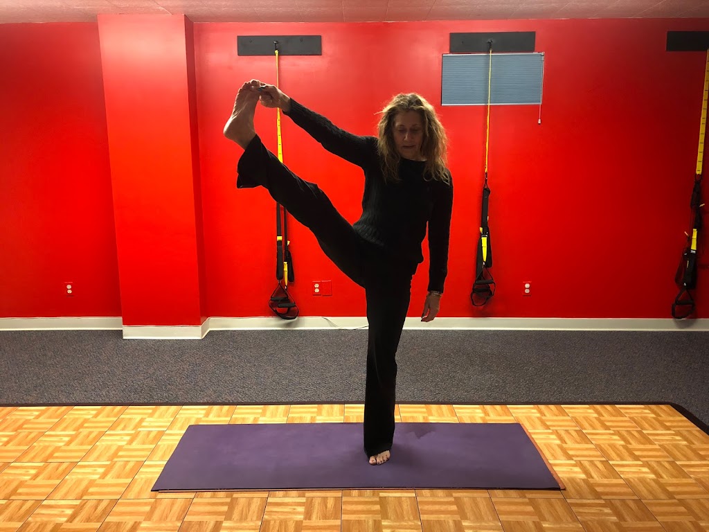  Constitution Fitness