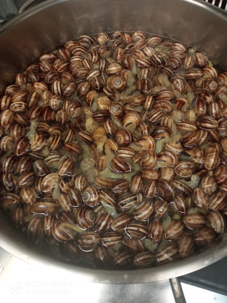 CanCuenca — Comida y bebida