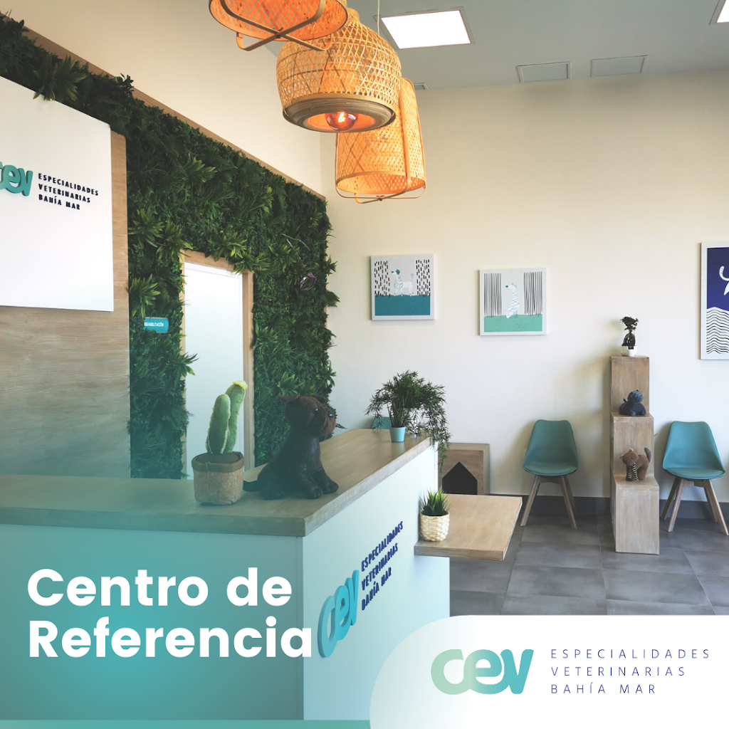 Centro de Especialidades Veterinarias Bahia Mar